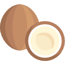 Kokosnuss Kokosnuss