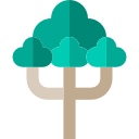 Zitroneneukalyptus Zitroneneukalyptus